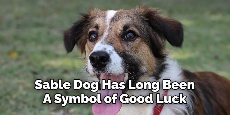 Sable Dog Has Long Been 
A Symbol of Good Luck