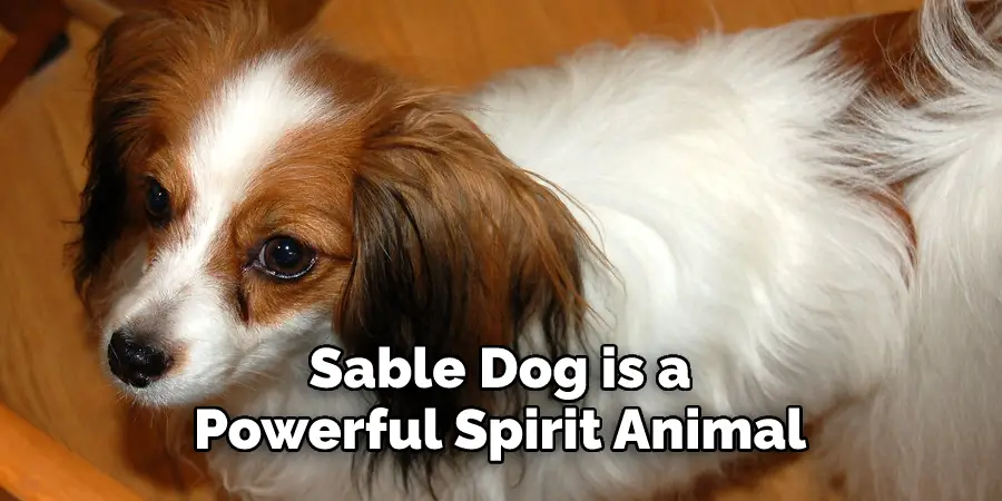 Sable Dog is a 
Powerful Spirit Animal