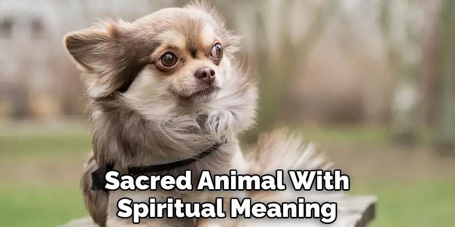 Sacred Animal With Spiritual Meaning