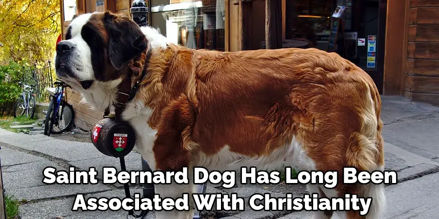 Saint Bernard Dog Has Long Been Associated With Christianity