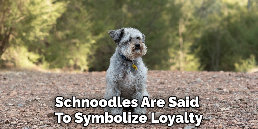 Schnoodles Are Said 
To Symbolize Loyalty