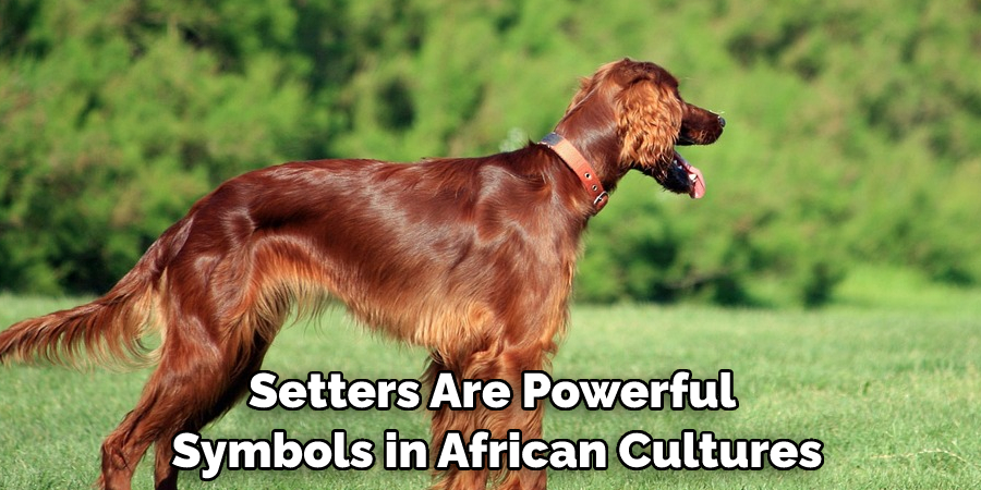 Setters Are Powerful Symbols in African Cultures