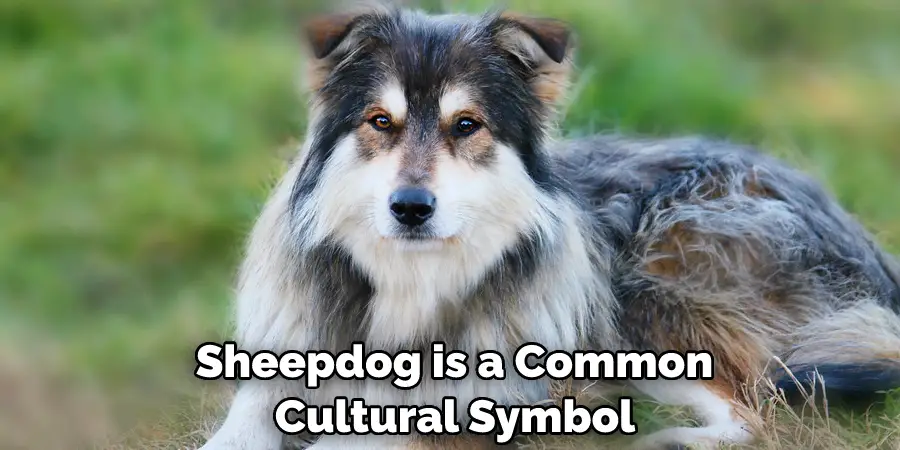 Sheepdog is a Common Cultural Symbol 