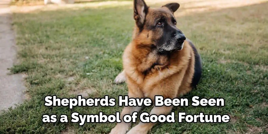 Shepherds Have Been Seen as a Symbol of Good Fortune