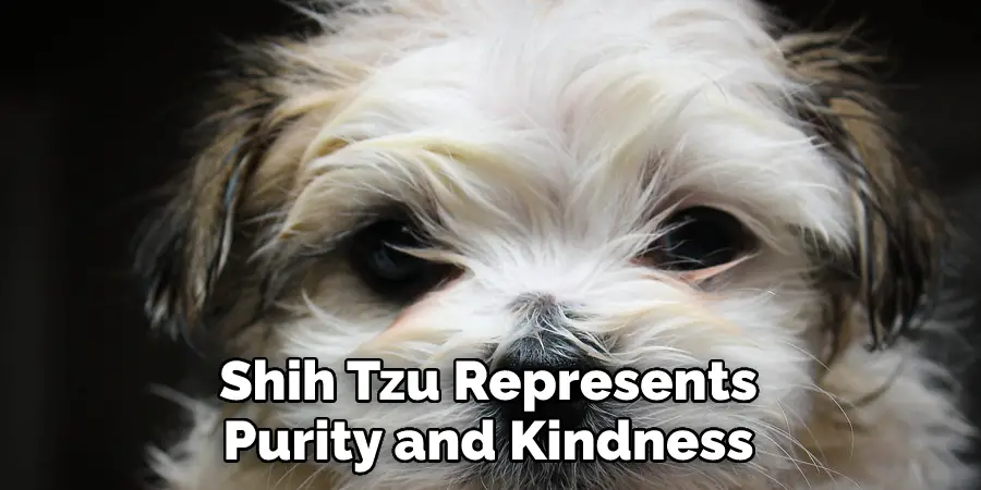  Shih Tzu Represents 
Purity and Kindness