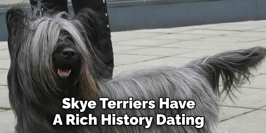 Skye Terriers Have 
A Rich History Dating