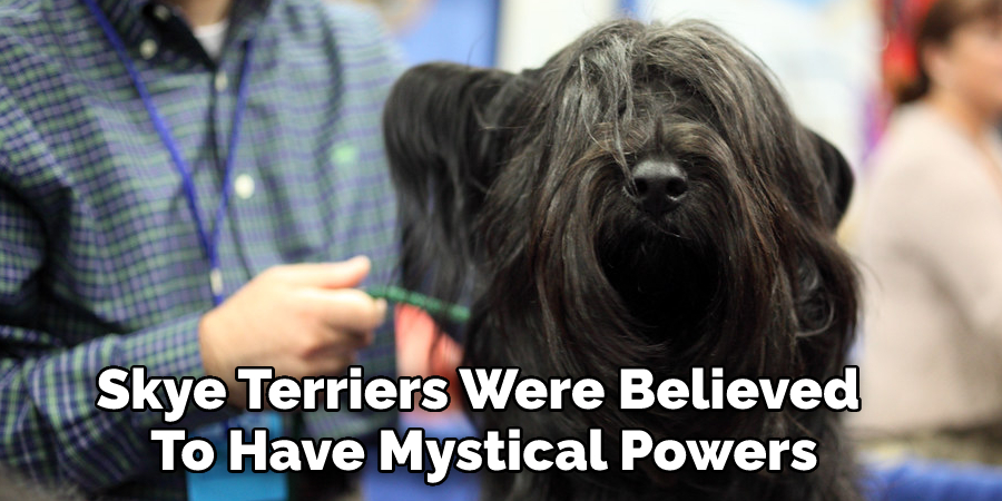 Skye Terriers Were Believed 
To Have Mystical Powers