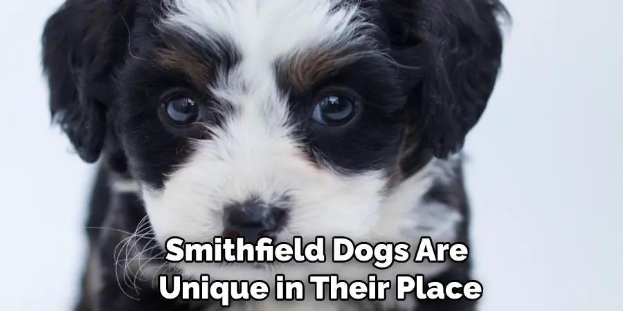 Smithfield Dogs Are Unique in Their Place