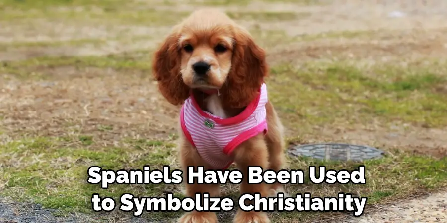 Spaniels Have Been Used to Symbolize Christianity