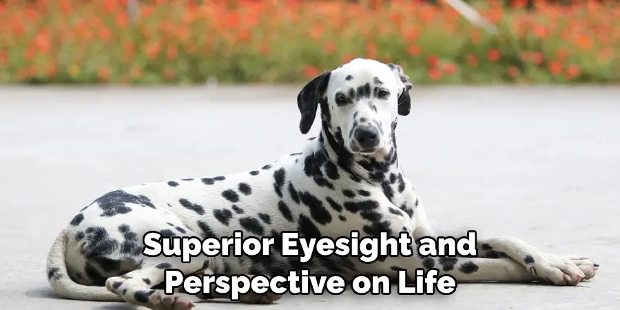 Superior Eyesight and Perspective on Life