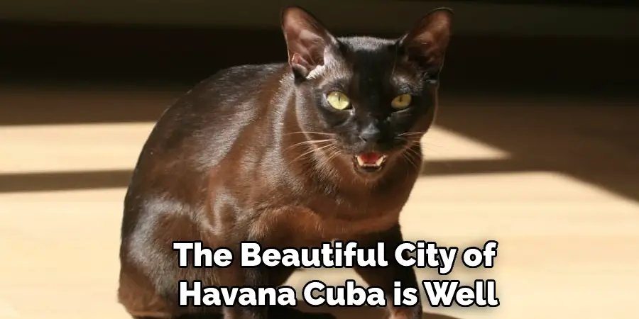 The Beautiful City of Havana Cuba is Well