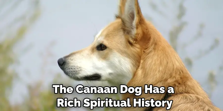 The Canaan Dog Has a Rich Spiritual History