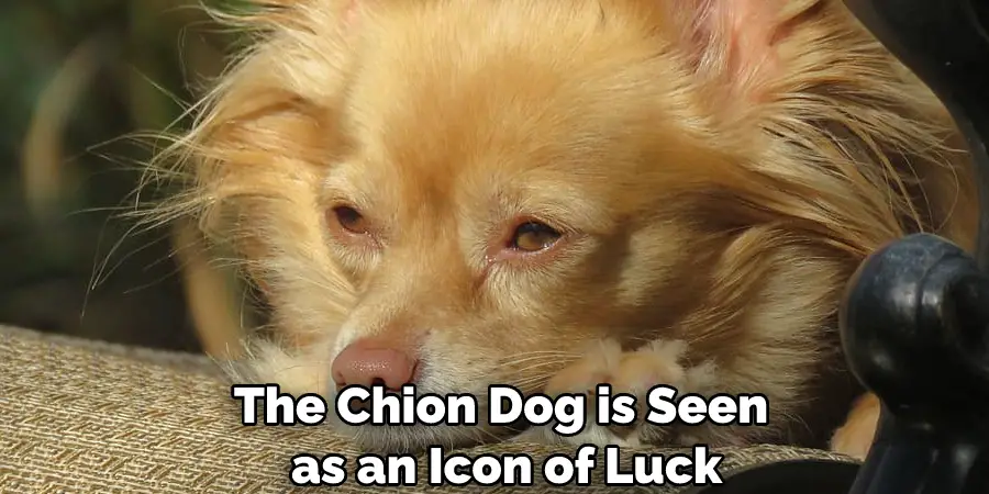 The Chion Dog is Seen as an Icon of Luck