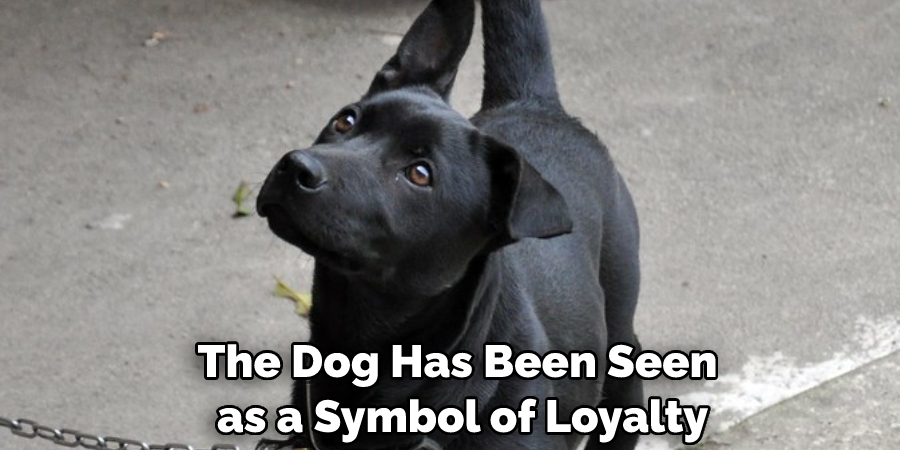 The Dog Has Been Seen as a Symbol of Loyalty