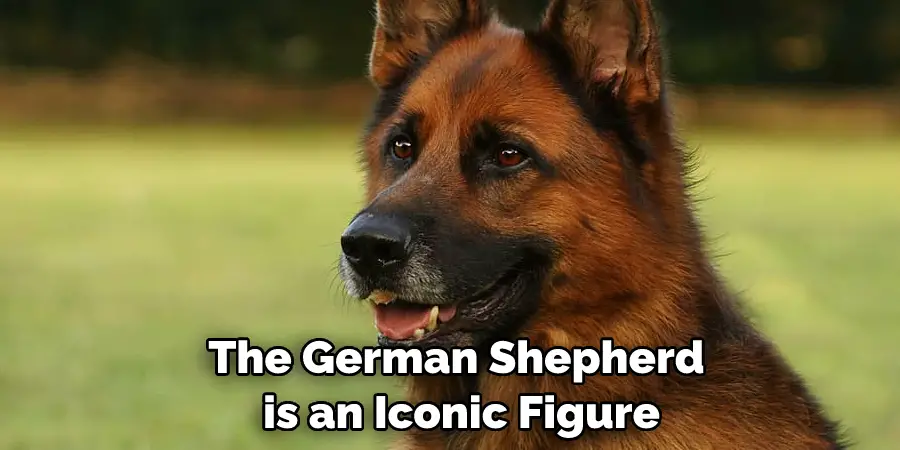 The German Shepherd is an Iconic Figure