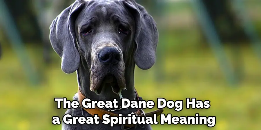 The Great Dane Dog Has a Great Spiritual Meaning