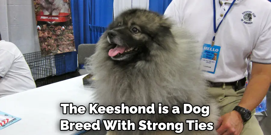 The Keeshond is a Dog Breed With Strong Ties