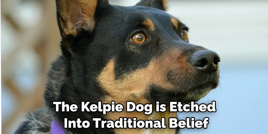 The Kelpie Dog is Etched Into Traditional Belief