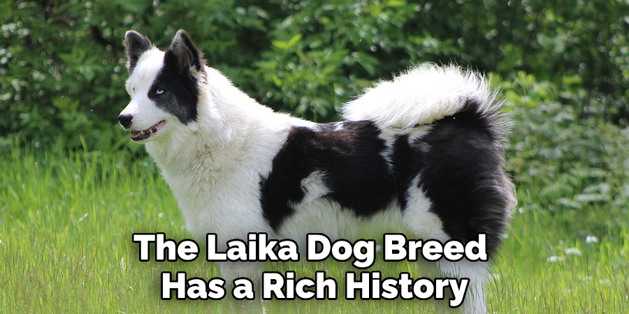 The Laika Dog Breed 
Has a Rich History