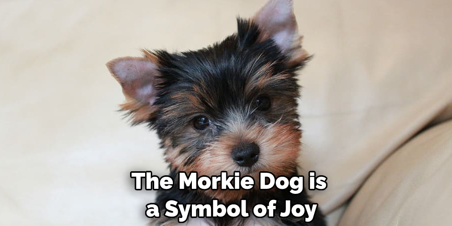 The Morkie Dog is a Symbol of Joy