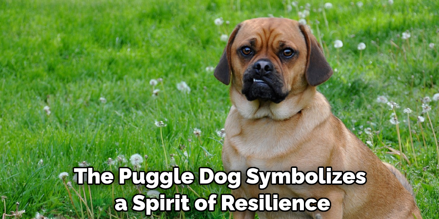 The Puggle Dog Symbolizes a Spirit of Resilience