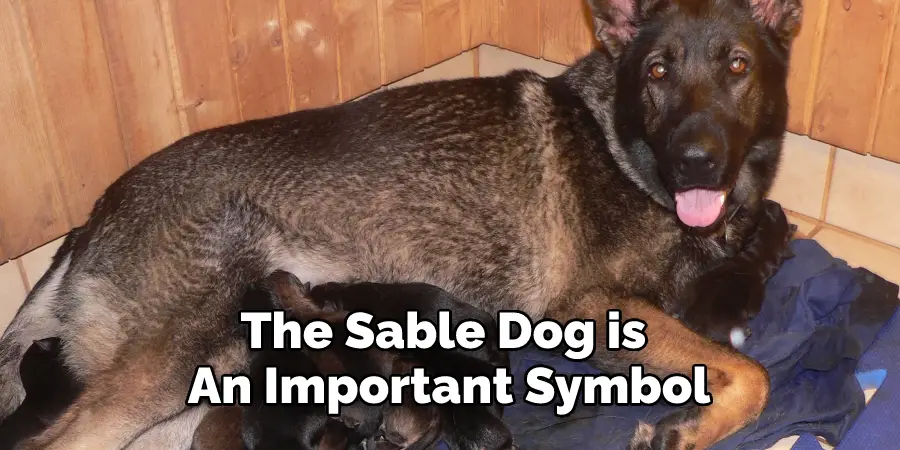 The Sable Dog is 
An Important Symbol