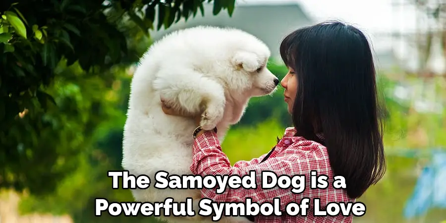The Samoyed Dog is a Powerful Symbol of Love