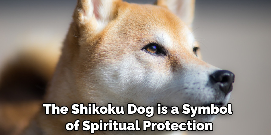 The Shikoku Dog is a Symbol of Spiritual Protection