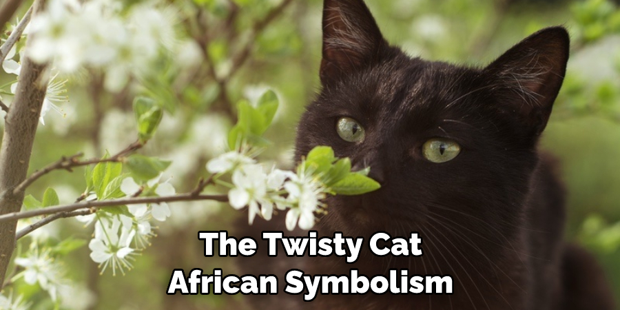 The Twisty Cat African Symbolism