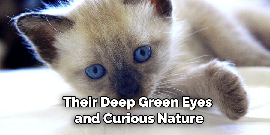 Their Deep Green Eyes and Curious Nature