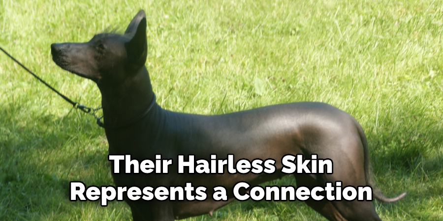Their Hairless Skin Represents a Connection