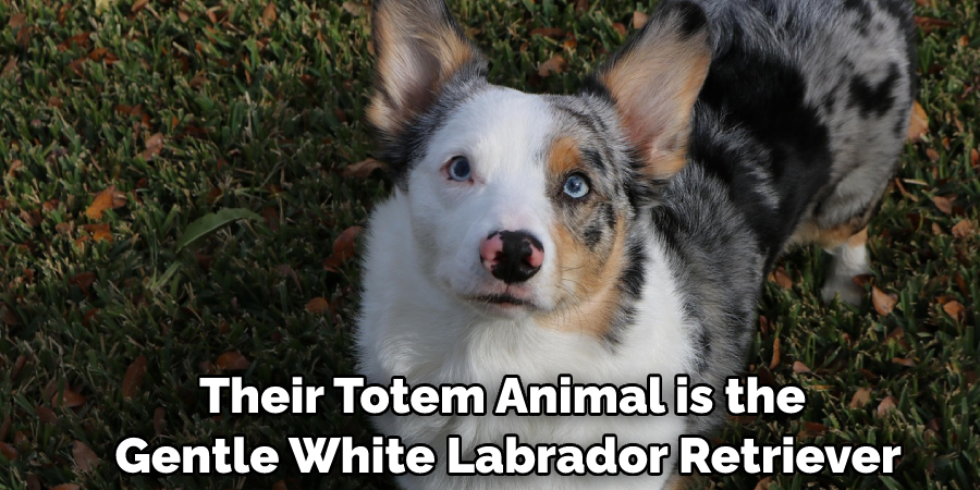 Their Totem Animal is the Gentle White Labrador Retriever