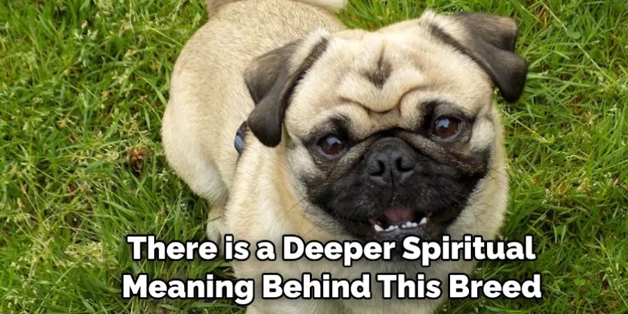  There is a Deeper Spiritual Meaning Behind This Breed
