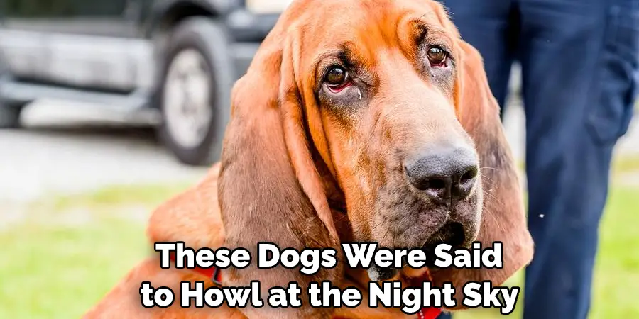  These Dogs Were Said to Howl at the Night Sky