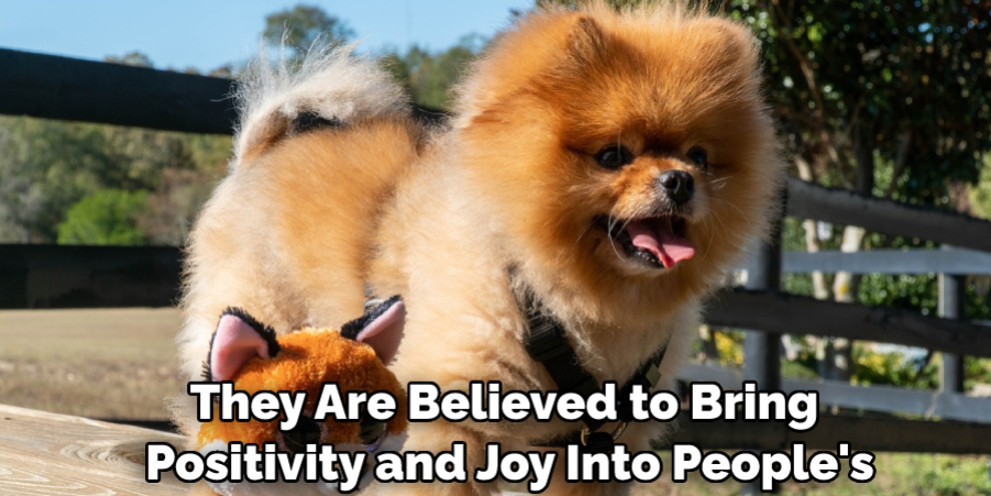 They Are Believed to Bring Positivity and Joy Into People's