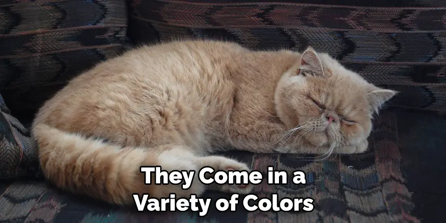 They Come in a Variety of Colors