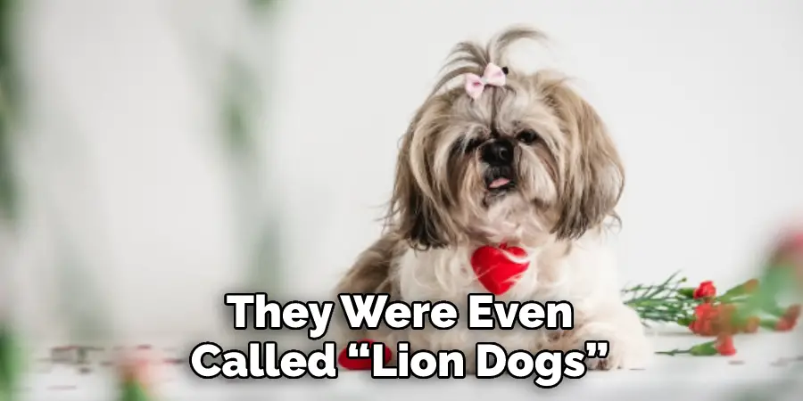 They Were Even 
Called “Lion Dogs”