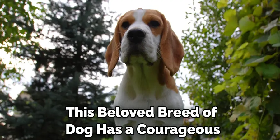 This Beloved Breed of Dog Has a Courageous
