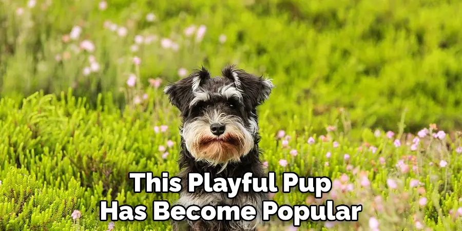 This Playful Pup 
Has Become Popular