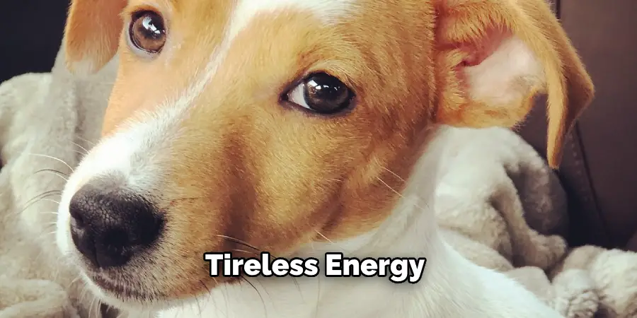 Tireless Energy