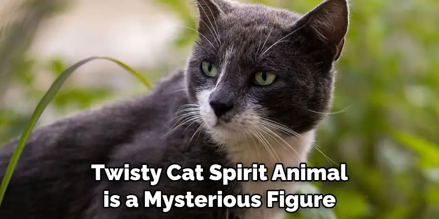 Twisty Cat Spirit Animal is a Mysterious Figure