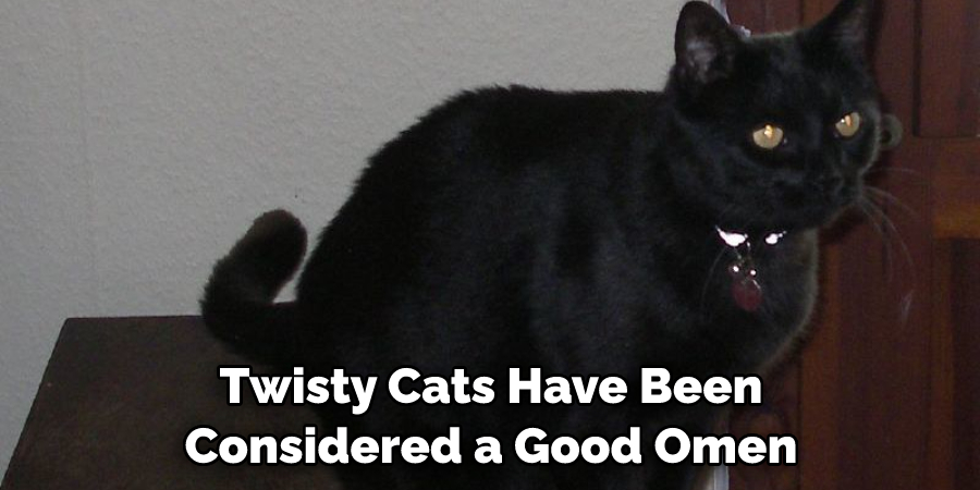 Twisty Cats Have Been Considered a Good Omen