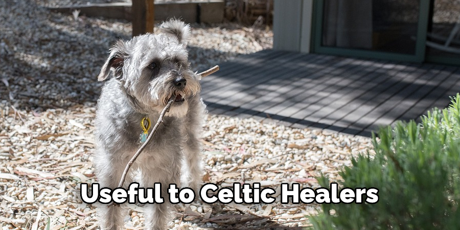 Useful to Celtic Healers