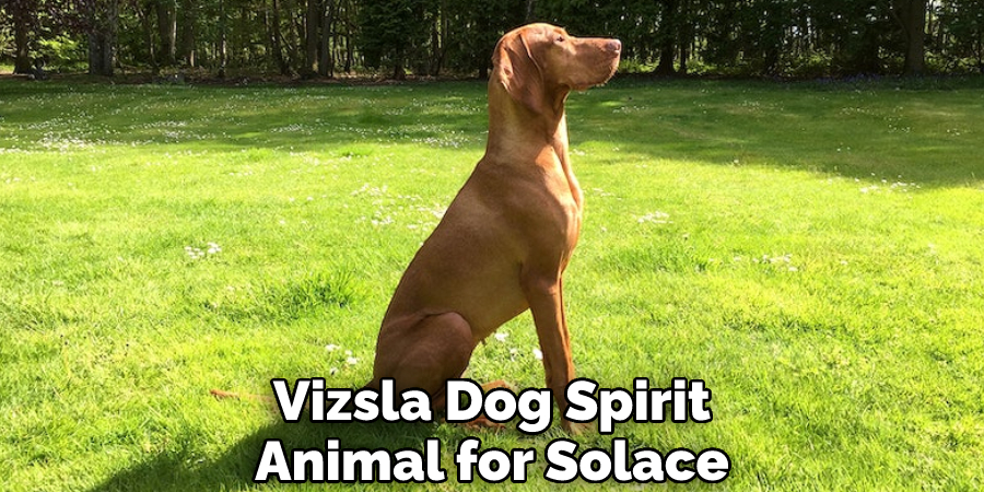 Vizsla Dog Spirit Animal for Solace
