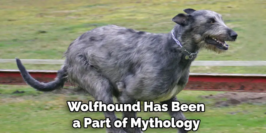  Wolfhound Has Been a Part of Mythology