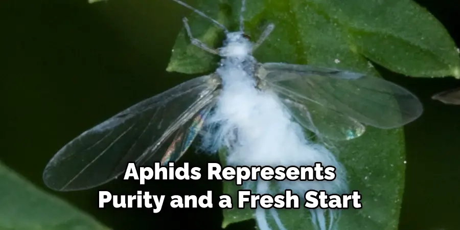 Aphids Represents Purity and a Fresh Start