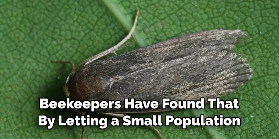Beekeepers Have Found That 
By Letting a Small Population