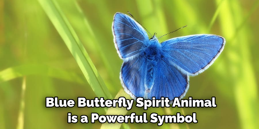 Blue Butterfly Spirit Animal is a Powerful Symbol