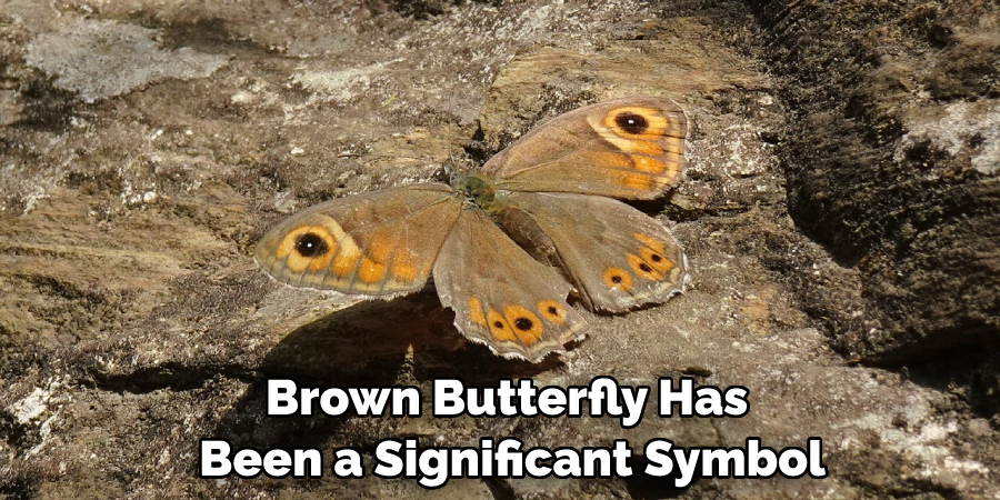 Brown Butterfly Has Been a Significant Symbol