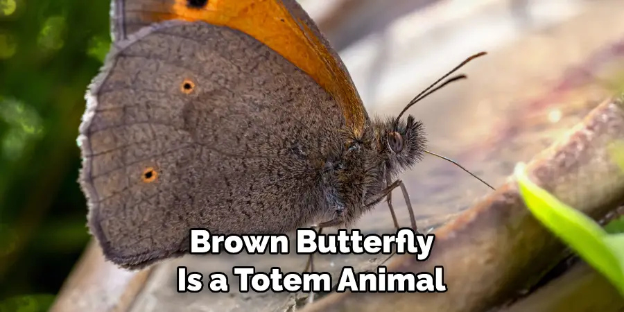  Brown Butterfly 
Is a Totem Animal